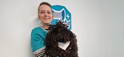 250508_MBG_Kachel_Tierklinik