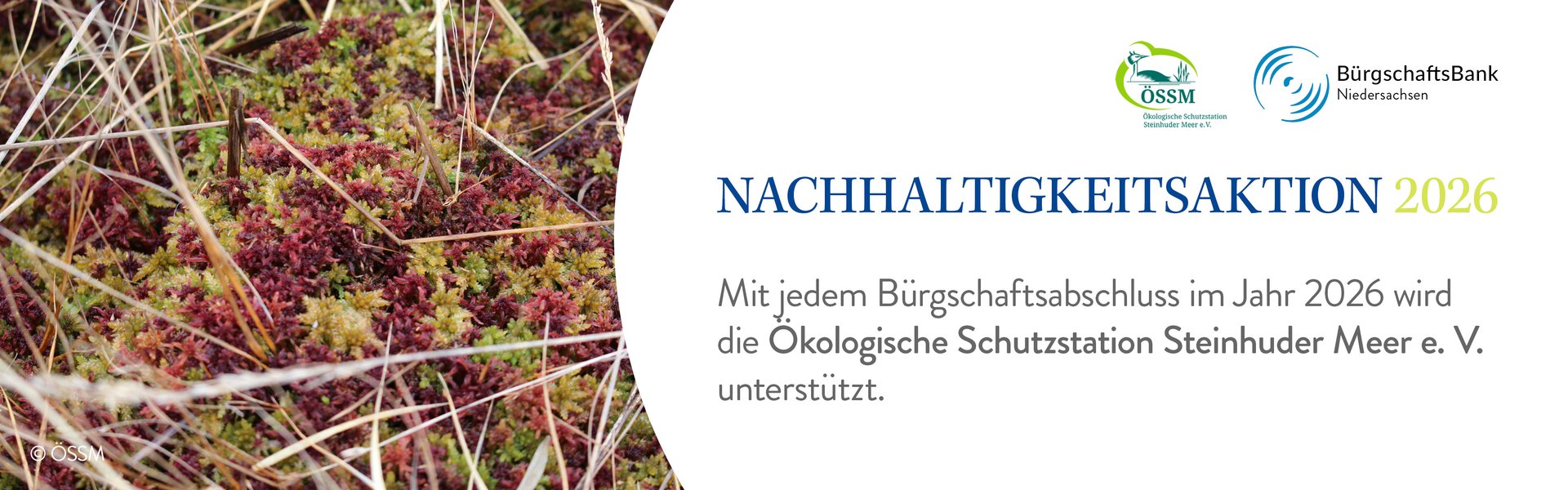 BBN Nachhaltigkeit Banner