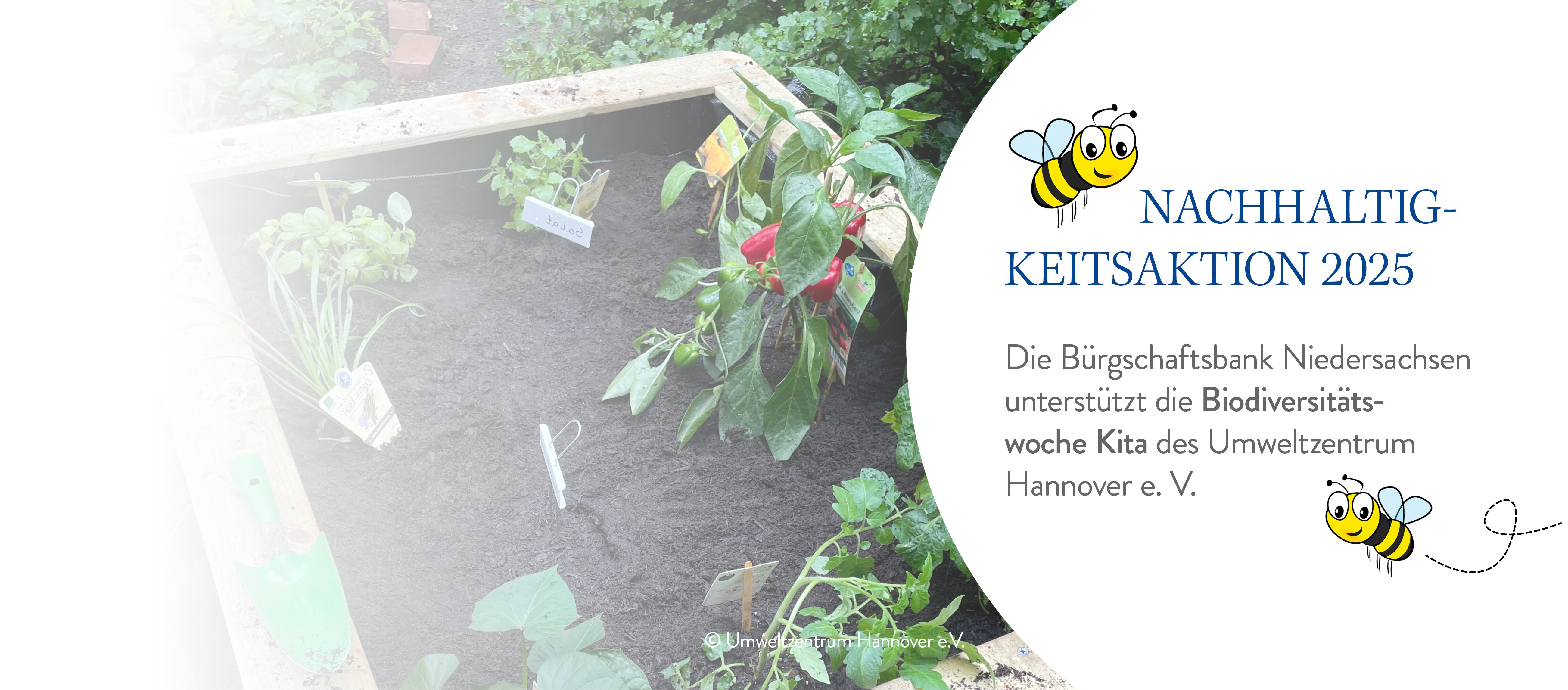 Nachhaltigkeit Header