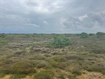 Wangerooge 1