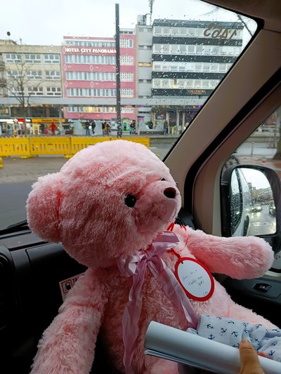 Wunschbaum-Aktion 2025