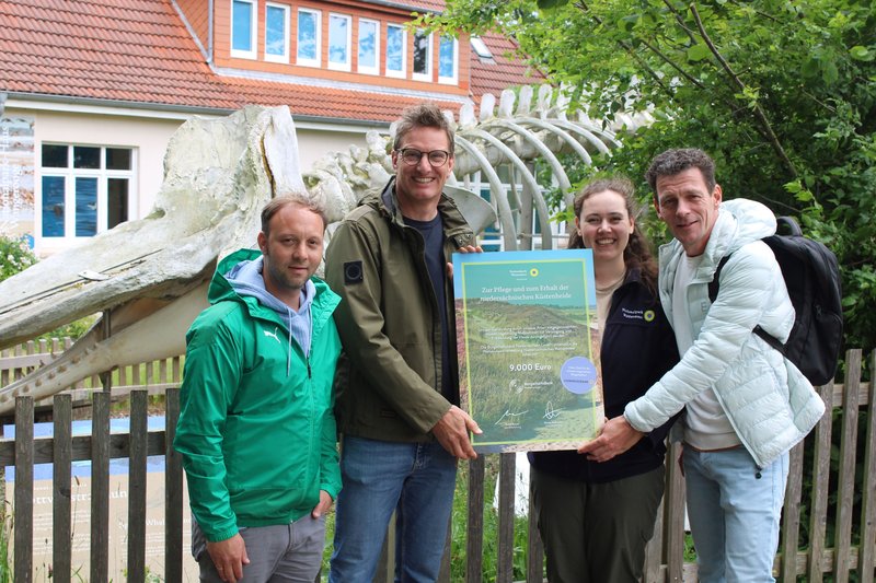 Wangerooge 2